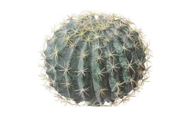 cactus bal d20cm groen, kunstplant