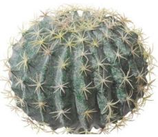 cactus bal d20cm groen, kunstplant