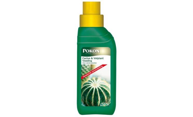 Cactus en vetplant voeding, Pokon, 250 ml - afbeelding 1