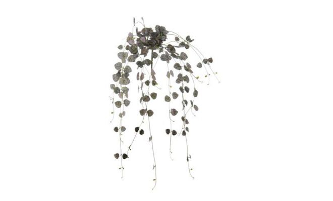 Ceropegia hanger l60cm grijs, kunstplant - afbeelding 1