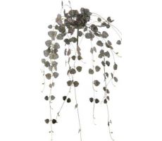 Ceropegia hanger l60cm grijs, kunstplant - afbeelding 2