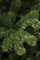 Charlton kerstboom groen 525 tips - H185 x Ø115 cm - afbeelding 3