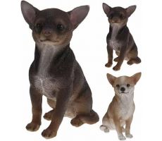 Chihuahua, polystone, meerdere variaties