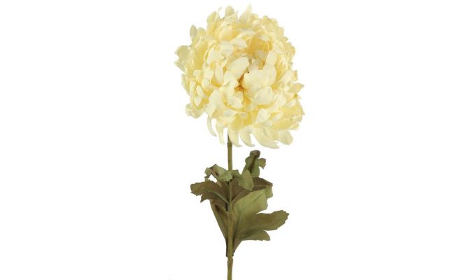 Chrysant L60cm Wit