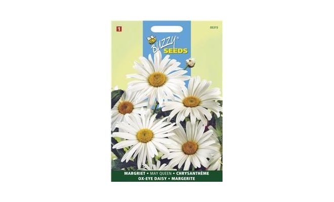 Chrysanthemum leucanthemum m 0.75g - afbeelding 1