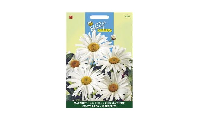 Chrysanthemum leucanthemum m 0.75g - afbeelding 1