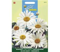 Chrysanthemum leucanthemum m 0.75g - afbeelding 2