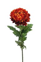 Chrysantsteel, 75 cm, oranje