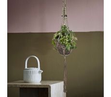Cissus rhombifolia 'Ellen Danica (Suikerdruifje), hangpot 17 cm, h 60 cm - afbeelding 1
