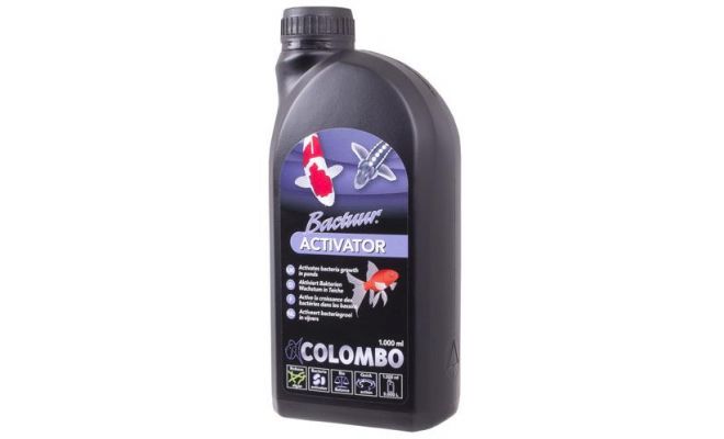 COLOMBO Bactuur activator 1000ml - afbeelding 1