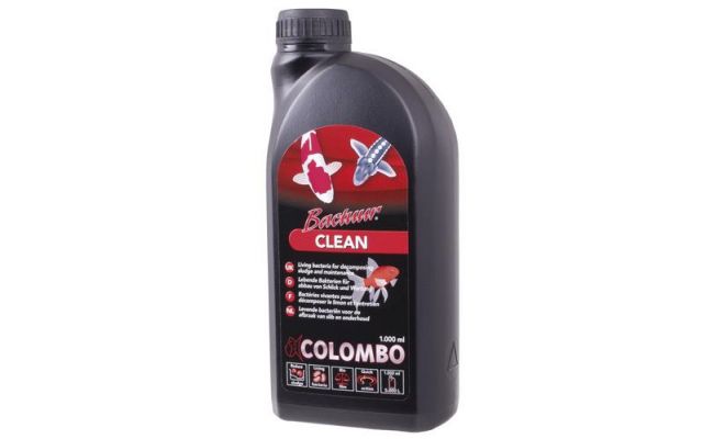 COLOMBO Bactuur clean 1000ml - afbeelding 1