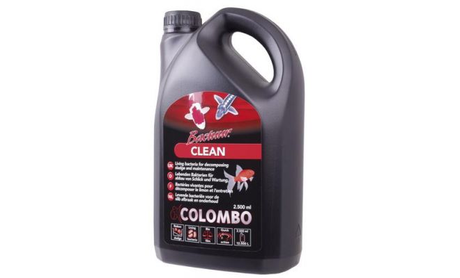 COLOMBO Bactuur clean 2500ml