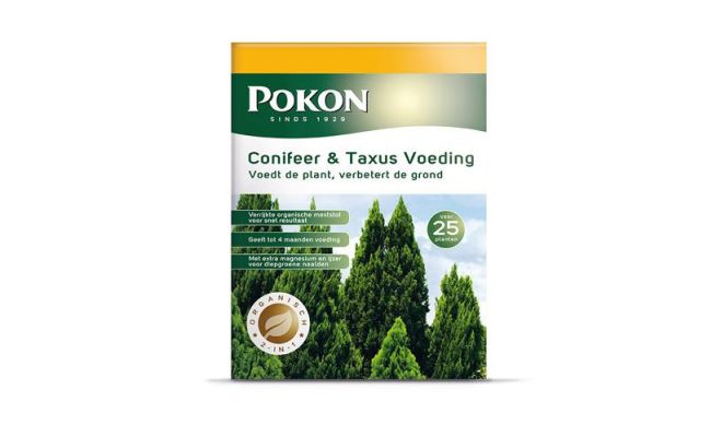 Conifeer en taxus voeding, Pokon, 1 kg - afbeelding 1