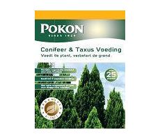 Conifeer en taxus voeding, Pokon, 1 kg - afbeelding 3