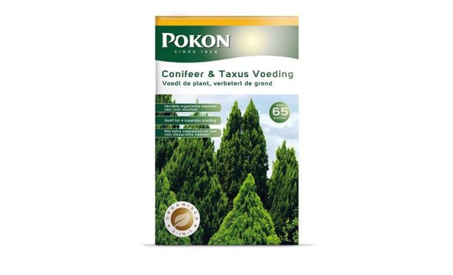 Conifeer en taxus voeding, Pokon, 2.5 kg - afbeelding 1