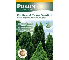 Conifeer en taxus voeding, Pokon, 2.5 kg - afbeelding 3