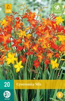 Crocosmia mix 20st