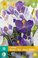 Crocus blauw/wit mix 10 stuks