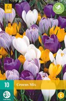 Crocus grootbloemig mix 10 stuks