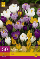 Crocus grootbloemig mix 30st