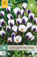 Crocus Prins Claus, 15 stuks