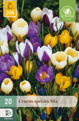Crocus species Mix, 20 stuks
