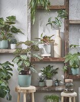 Daan pot rond groen - h6,5xd7,5cm - afbeelding 2