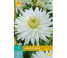 Dahlia my love 1st - afbeelding 4