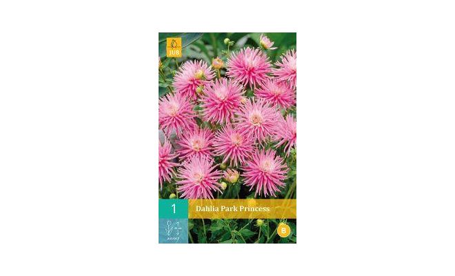Dahlia park princess 1st - afbeelding 1