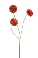 Dahliasteel, 68 cm, oranje