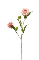 Dahliasteel mini x3, 68 cm, roze