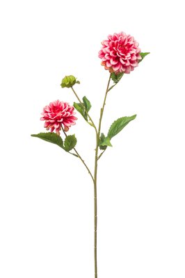 Dahliasteel mini x3, 68 cm, roze
