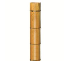 Decora bamboe b270d8.5-7.5cm natur.