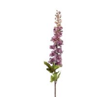 Delphinium Droog L78cm Mauve