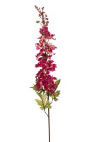 Delphiniumsteel, 78 cm, beauty