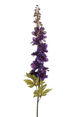 Delphiniumsteel, 78 cm, paars