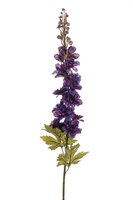 Delphiniumsteel, 78 cm, paars