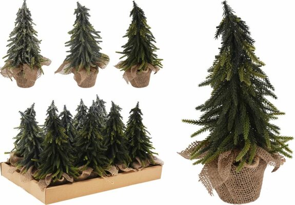 denneboom in pot 28cm , per stuk - afbeelding 1