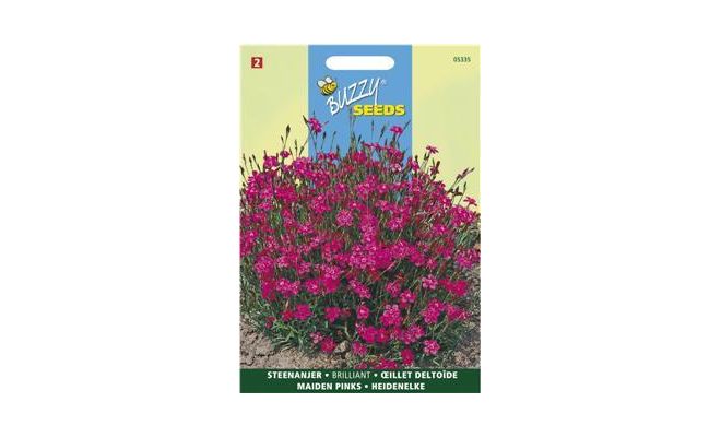 Dianthus deltoides erectus k. 0.25g - afbeelding 1