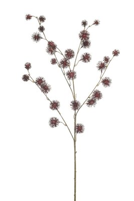 Distelsteel, 85 cm, bordeaux