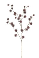 Distelsteel, 85 cm, bordeaux
