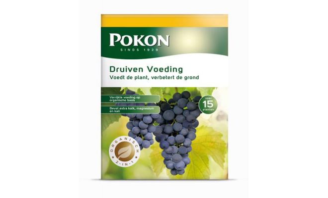 Druiven voeding, Pokon, 1 kg - afbeelding 1