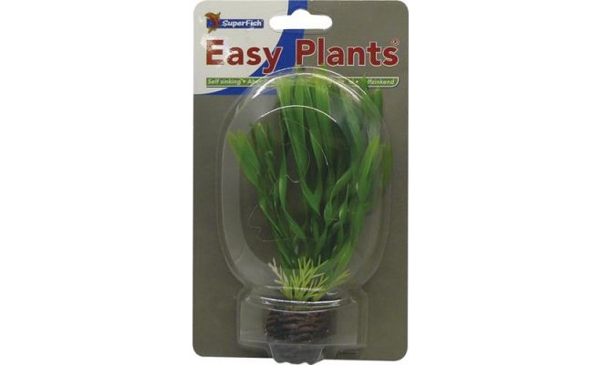Easy plants small13cm nr. 6 - afbeelding 1