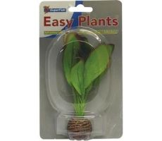 Easy plants small13cm nr. 6 - afbeelding 2