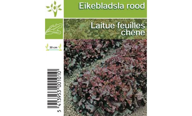 Eikenbladsla, rood - afbeelding 1