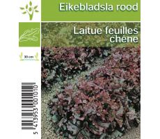 Eikenbladsla, rood - afbeelding 1