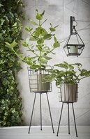 Era pot rond goud relief - h14,5xd17,5cm - afbeelding 3