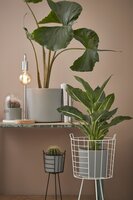 Era pot rond l.grijs sand - H7 x Ø7 cm - afbeelding 3