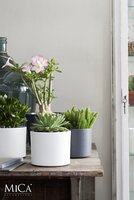Era pot rond l.grijs sand - H9 x Ø10 cm - afbeelding 4