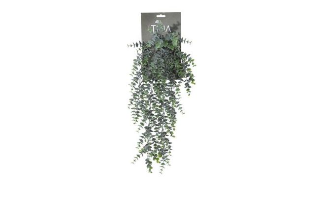 Eucalyptus hanger L54cm groen pdr h(kunstplant